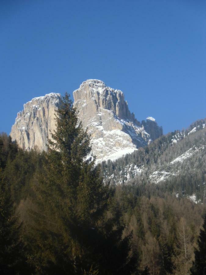 Garni Festil Hotell Campitello di Fassa Eksteriør bilde